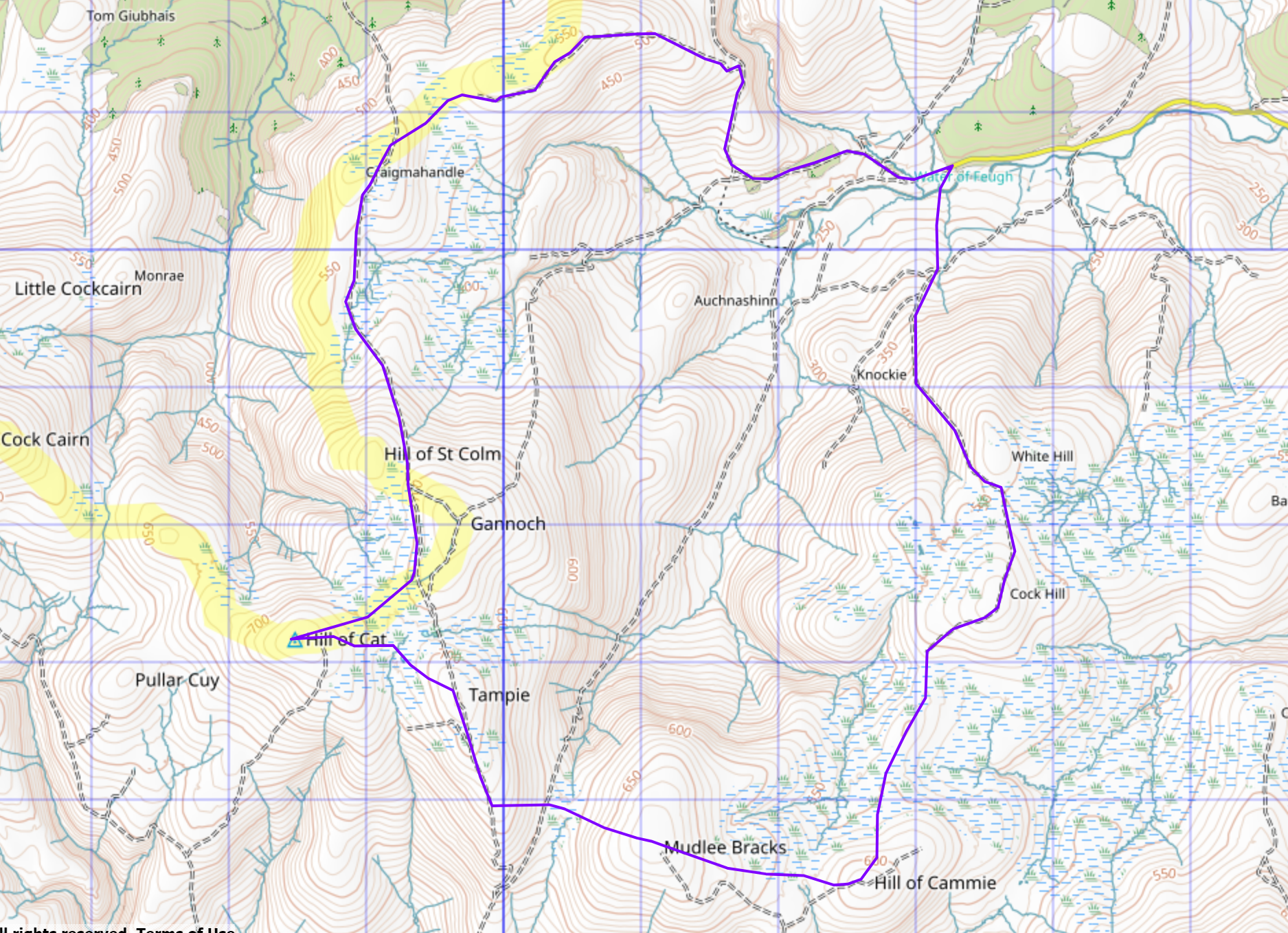 Glen Cat